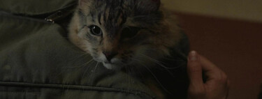 4 de las mejores películas del año por sólo 3,5 euros cada una. Esto es lo mejor que podemos ver durante la Fiesta del Cine