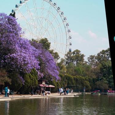 Qué hacer en CDMX en Semana Santa: Aqüifera, el mega festival en Chapultepec que transformará el bosque