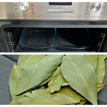 Para qué sirve poner hojas de laurel en el horno: un remedio casero para deshacerte de malos olores en la cocina