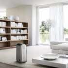 Cómo mantener a raya la humedad para frenar asma y alergias, mejorar la calidad del aire y cuidar la