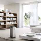 Cómo mantener a raya la humedad para frenar asma y alergias, mejorar la calidad del aire y cuidar la