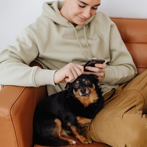 Investigaciones recientes han demostrado que las relaciones con animales de compañía, los perros en particular, pueden aliviar la ansiedad en los jóvenes