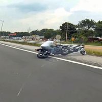 Ensalada de cabezabuques con doble fail, así es como se hace un buen vídeo 