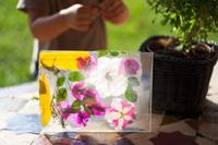 Manualidades con niños: marco de fotos con flores y hojas