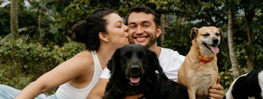 No más ‘¿con quién se queda el perro?’: aprueban ley en CDMX para proteger a los lomitos tras un divorcio