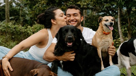 No más ‘¿con quién se queda el perro?’: aprueban ley en CDMX para proteger a los lomitos tras un divorcio
