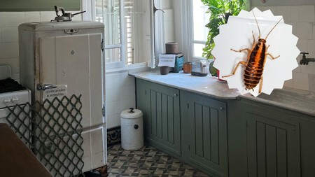 Cocina