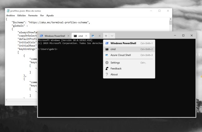 Perfiles Terminal Windows