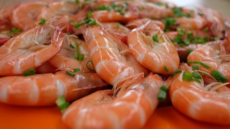 La contaminación de los mares se ve en los alimentos: moluscos, crustácesos y sal marina con residuos plásticos