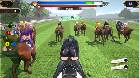 Gallop