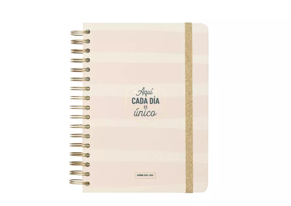 Agenda Mr. Wonderful