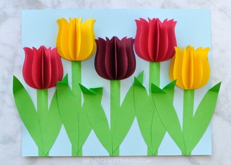 tulips