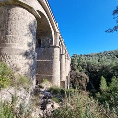 Foto 5 de 20 de la galería galeria-de-imagenes-tomadas-con-el-samsung-galaxy-s21 en Xataka Móvil