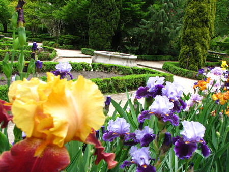 madrid