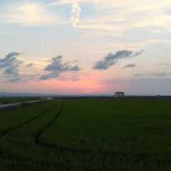 Foto 33 de 34 de la galería asus-zenfone-ar en Xataka