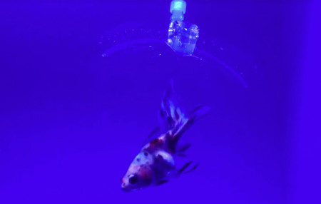 Este robot atrapa a peces vivos y está construido mediante impresión 3D