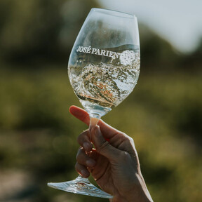 Este es el mejor vino blanco del año de Rueda, según Tim Atkin: un verdejo de apenas 11 euros que siempre es un acierto con 92 puntos 