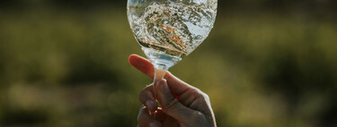 Cuesta solo 11 euros, pero es el mejor vino blanco del año de Rueda, según Tim Atkin