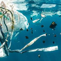 Pensávamos que sacolas e canudos eram os culpados pela poluição dos oceanos; mas o que preenche a mancha de lixo do Pacífico vem de uma indústria completamente diferente 