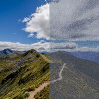 La condena silenciosa de la "nieve visual": un 3% de la población mundial ve el mundo con interferencias 