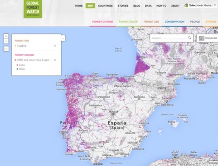 Vizzuality, la startup española 'detrás' de los mapas de deforestación de Google