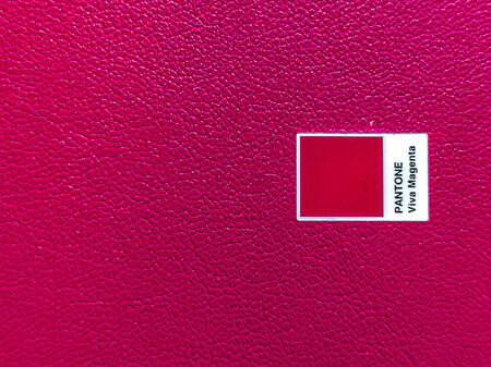 Motorola Moto G84 5G