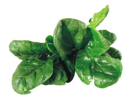 Espinaca: una fuente de calcio en el mundo vegetal