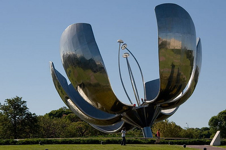 Floralis generica
