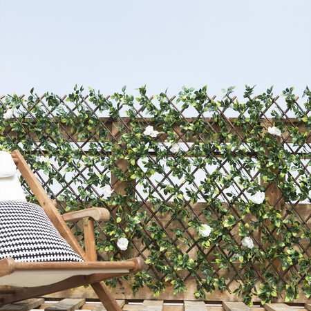 Celosia Extensible De Rattan Bosque Jazmin