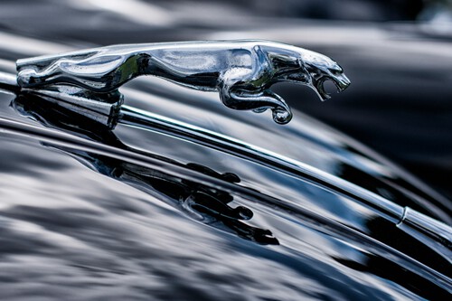 Jaguar car