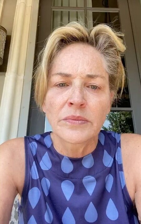 Sharon Stone, destrozada tras la muerte de su sobrino River de tan solo 11 meses