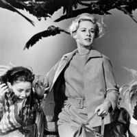 'Los pájaros' tendrá nueva versión con una estrella de 'Succession'. Avisan que van a ignorar el clásico de Hitchcock y "retroceder hasta el material original"