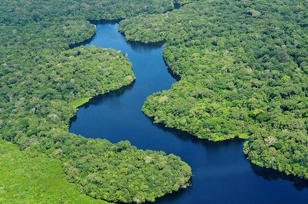 La deforestación del Amazonas continua siendo un problema