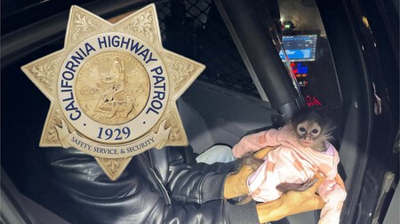 California Highway Patrol 4