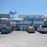 El precio de la gasolina y el diésel hoy, 29 de febrero