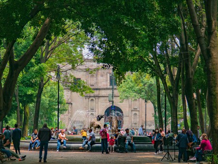 Arboles Ciudades