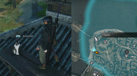 Gato Bashamichi Almenaras