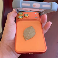 Poner una hoja de laurel en la funda del celular no sirve para nada. A menos que creas en esto 
