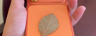 Poner una hoja de laurel en la funda del celular no sirve para nada. A menos que creas en esto 