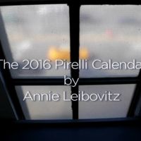 Calendario Pirelli o Barracuda, tu eliges