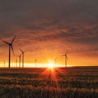 España ha batido su propio récord en 2024: un 55,8% de la energía que producimos ya es renovable, y sobre todo eólica