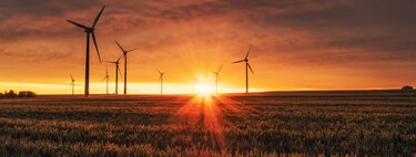 España ha batido su propio récord en 2024: un 55,8% de la energía que producimos ya es renovable, y sobre todo eólica