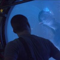 Telecinco vive el peor año de su historia y ni el cine le salva. Hace 12 años, creó un evento gracias a James Cameron y Avatar