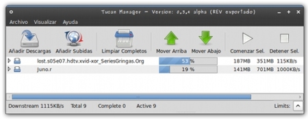 Tucan: gestor de descargas de Megaupload y Rapidshare en GNU/Linux