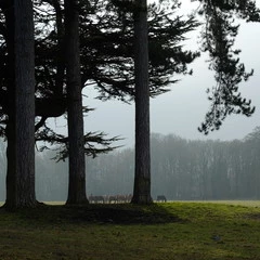 Foto 13 de 20 de la galería fujifilm-x-t2-12-fotos en Xataka Foto