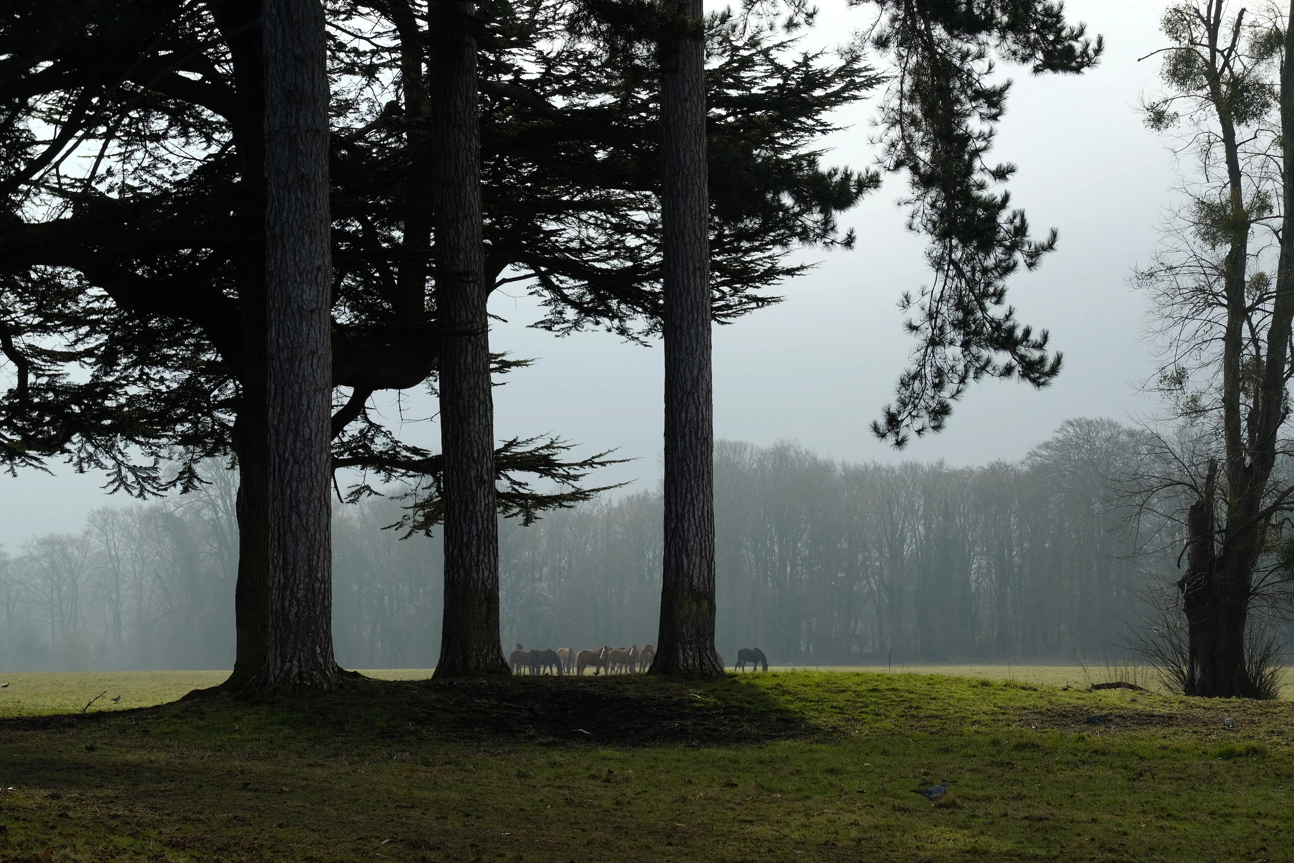 Foto de Fujifilm X-T2 (12 fotos) (13/20)