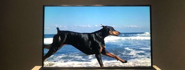 Panasonic presenta "MegaCon", su apuesta por los televisores LCD-LED con tecnología de doble panel para mejorar el contraste