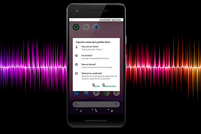 Voiceaccess2