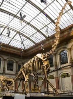 Talleres de verano en el Museo de Ciencias de Madrid