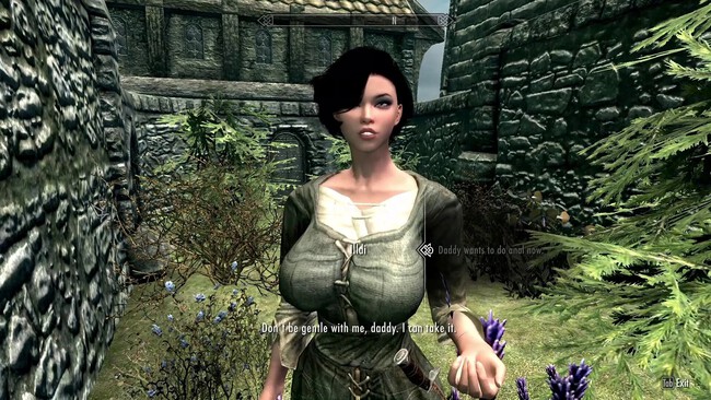 Imagen De Skyrim 2